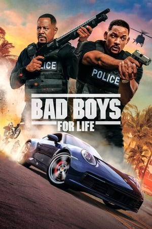 Bad Boys for Life (2020) Hindi (ORG) Dual Audio [1.2GB]